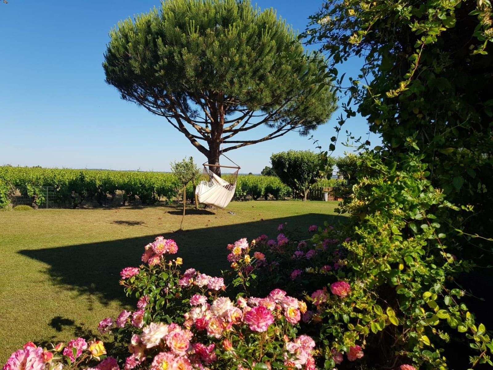 Bed and Breakfast Entre Loire Et Vignobles Liré Exteriér fotografie